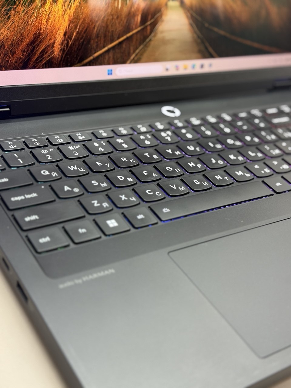 Ноутбук Lenovo Legion Pro 5 16IAX10 Ul7 255HX/32Gb/SSD1Tb/RTX 5060 8Gb/16"/OLED/WQXGA/noOS/black