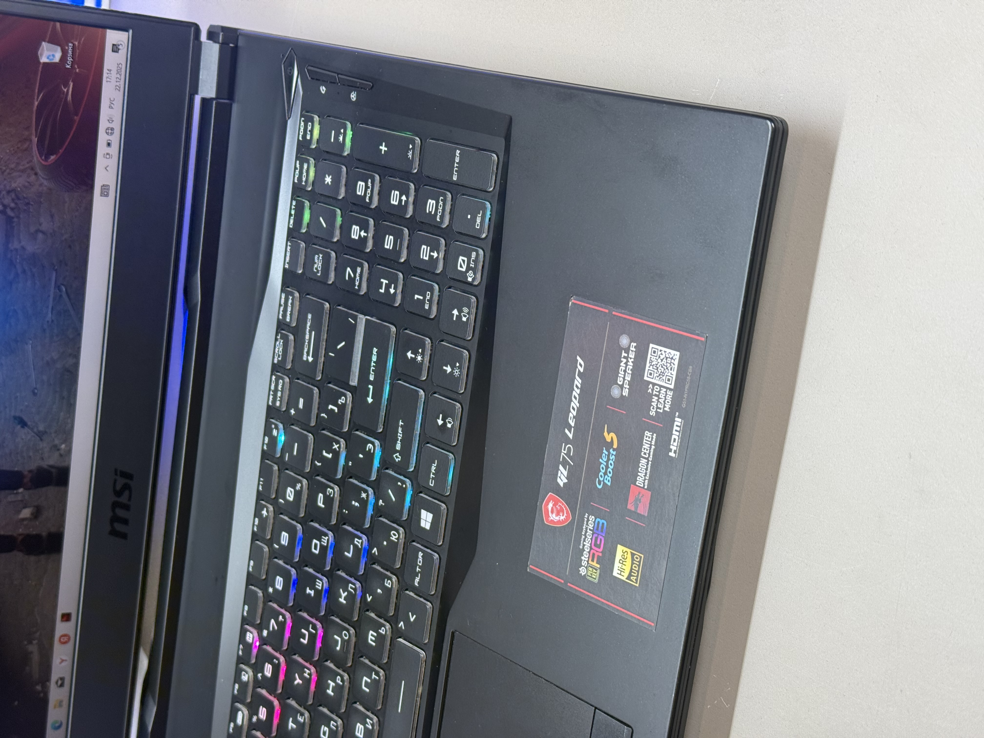 Ноутбук MSI GL75 Leopard 10SDK-202RU