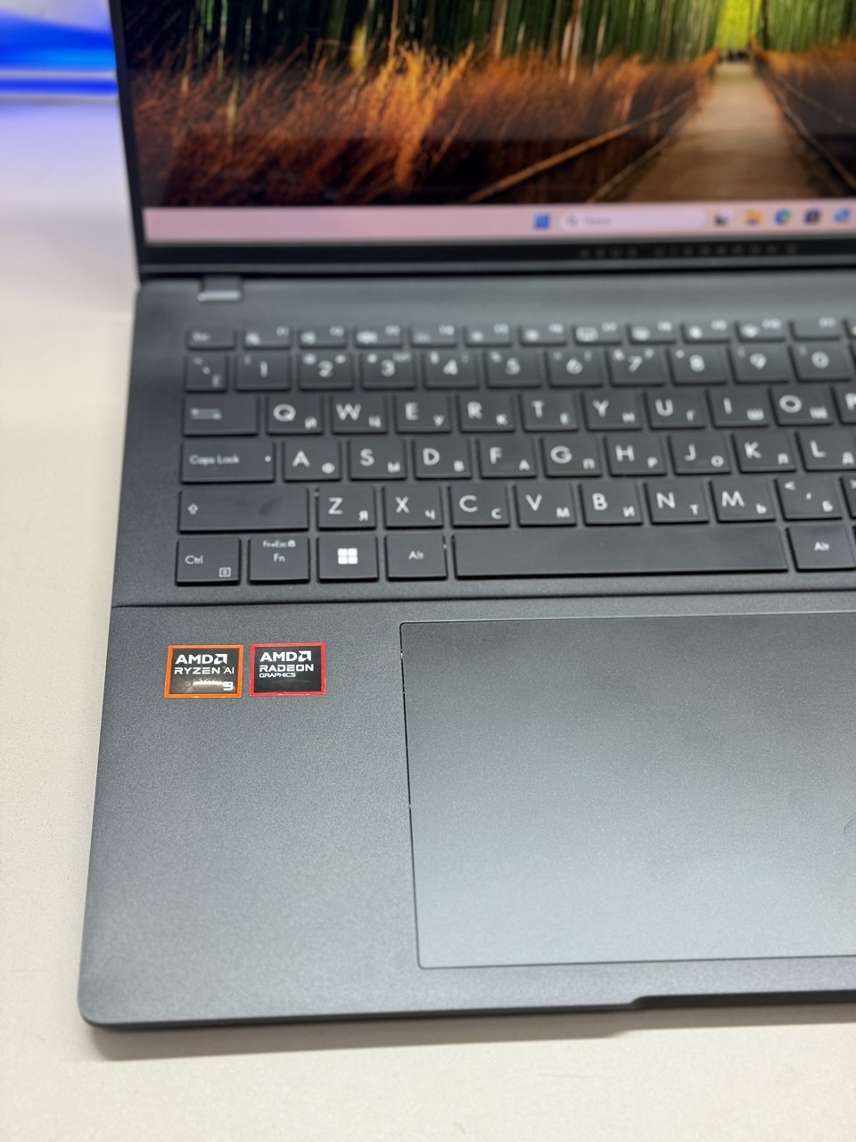 Ноутбук Asus Vivobook S M5606WA-MX047 Ryzen AI 9 365/24Gb/SSD1Tb/880M/16"/OLED/3.2K